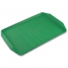 Поднос 42*30см зеленый