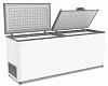 Ларь морозильный Frostor F800SD