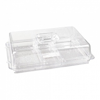 Поднос для выкладки 31,5*21,5*8,5 см с секциями пласт. с пласт. крышкой P.L. Proff Cuisine-1