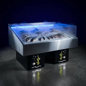 Дизайнерские находки ТМ Finist: витрина для рыбы на льду