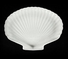 Блюдо ракушка 10,5'' 265мм [FP-12257]