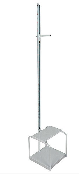 Ростомер РМ-2 Диакомс-1